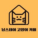스테이보드게임카페