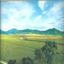 극동농장 이미지