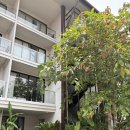 거리로 나온 벨리댄스 2 | 치앙마이 여행 3탄이올씨다🌺