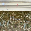 나눌터 | 순천 현지인맛집 나눌터 주차, 웨이팅 내돈내산 후기