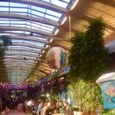 라 펠리치타(La Felicita) 이미지