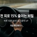 시니어모델(60세 이상) | 운전 피로 15% 줄이는 비밀! 시니어 맞춤형 차량 무드등 설치법 총정리