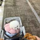 파리바게뜨 정관중앙점
