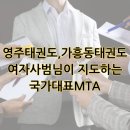 국가대표 MTA 태권도 이미지