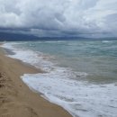 구계한우 이미지