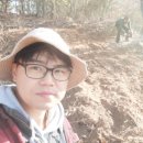 계룡 농장 이미지