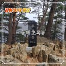 양지마을3로 4-15 | 강원 20대 명산 초록봉 산행 양지마을 임도 최단거리 원점회귀 등산코스