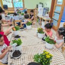 백석초등학교 병설유치원 이미지