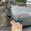 조브라더스 게스트하우스 이미지