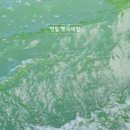 한반도 뗏목마을 화장실 이미지