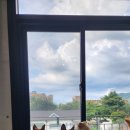 산책온 | 브라운엔젤 스튜디오 이전 개원식 다녀오다ㅡ이후 스튜디오 아이들 산책봉사 시켜주고 온 후기