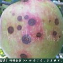 미래농약사 이미지