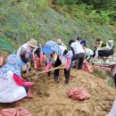 함양(대전) 이미지