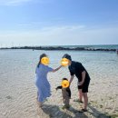 영수네귀덕