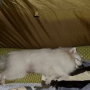 룰루요거트앤빈스트커피 | 9월 마지막 주 일상