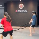 엑스퍼트짐 구파발점 이미지