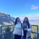 블루마운틴 이미지