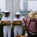 우물안 개구리 콘서트 이미지