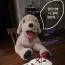 해브어나이스케이크 - 16732 | 해브어나이스케이크
