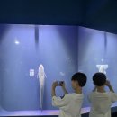 참피온키즈태권도 | 줄 알았죠? 아이들이 하루 종일 웃었던 이유! 성산동 한미태권도 여름 체험학습 후기 성산동 태권도 추천