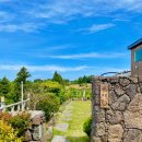 수줍은 언니네 이미지