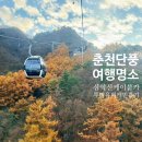 가춘천 | 삼악산 호수 케이블카 크리스탈 캐빈 후기｜춘천 단풍 명소 가볼 만한 곳 추천