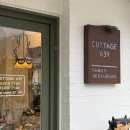 사파동262 이미지