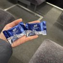 스핑크스의 숲 | Ep6. 유럽 신혼여행 4일차 스위스 인터라켄 융프라우 정상에서 신라면 먹고 그린델발트 구경한 후기