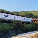 울산EDA승마장 이미지