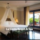 시에스타 이미지