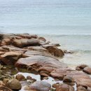 유림민박 이미지