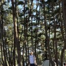 몽산포 해변 | 태안 해변 몽산포 해수욕장 몽산포 오션 캠핑장 캠핑 후기