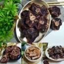 멍군애견 이미지