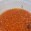 서민수산회 이미지