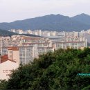 고고리
