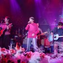 동물원에 여행가자 이미지