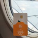 나무앤씨 키즈 | 제주여행 준비_5박6일_탐나는전, 숙소 추천(내돈내산)
