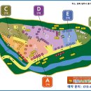 비로야영장 이미지