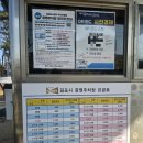 롤러몬