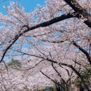 개포4-106 이미지