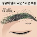 모텐셜의원 | 눈썹이식 비용과 실제 후기