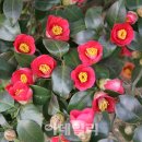 해지게길 이미지