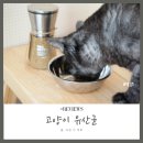 네츄럴트리트 네이버블로그