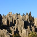 석림4로 이미지