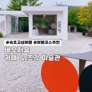 바우지움조각미술관 | 속초 고성 가볼만한곳 추천 여행 코스 - 바우지움 조각미술관 후기 (입장료, 주차, 카페 총정리)
