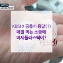 매일용달-1 네이버블로그