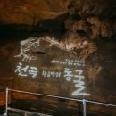천곡 | 강원도 천곡동굴 내돈내산 후기! 환선굴 대신 가볼만한곳 추천