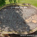 창녕, 남지개비리길을 걷다. 이미지