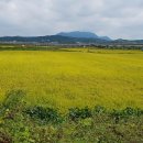 해달별펜션 이미지