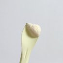 젤라떼리아뮤트 | 입안 가득 퍼지는 고급스러운 달콤함, 탄방동 젤라또 맛집 ‘뮤트 젤라떼리아’ 내돈내산 배달 후기 🍦✨